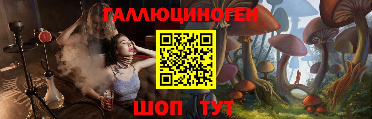 Галлюциногенные грибы MAGIC MUSHROOMS Свободный