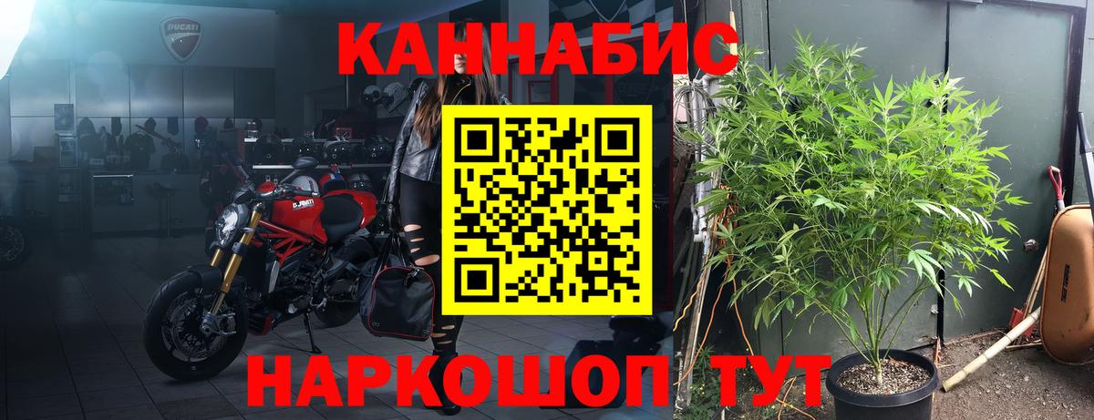 Конопля марихуана Свободный